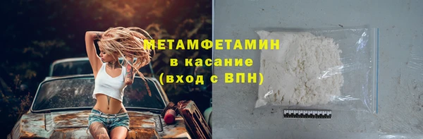 прущие грибы Вязники