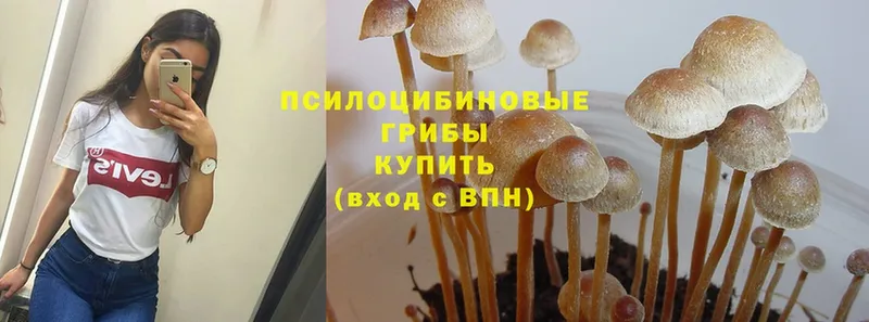 Галлюциногенные грибы MAGIC MUSHROOMS  где можно купить   Горбатов 